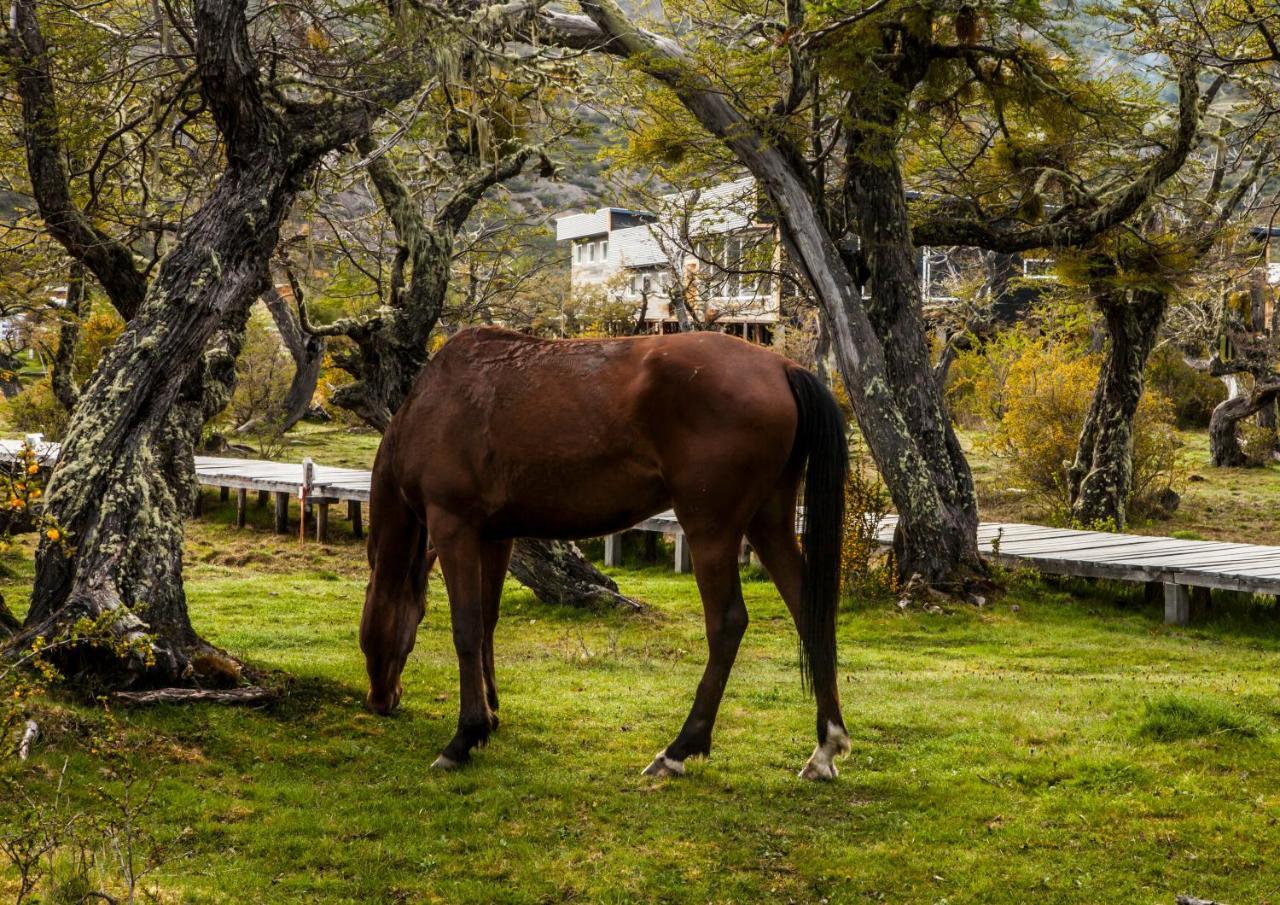Pampa Hostel Torres del Paine National Park Dış mekan fotoğraf