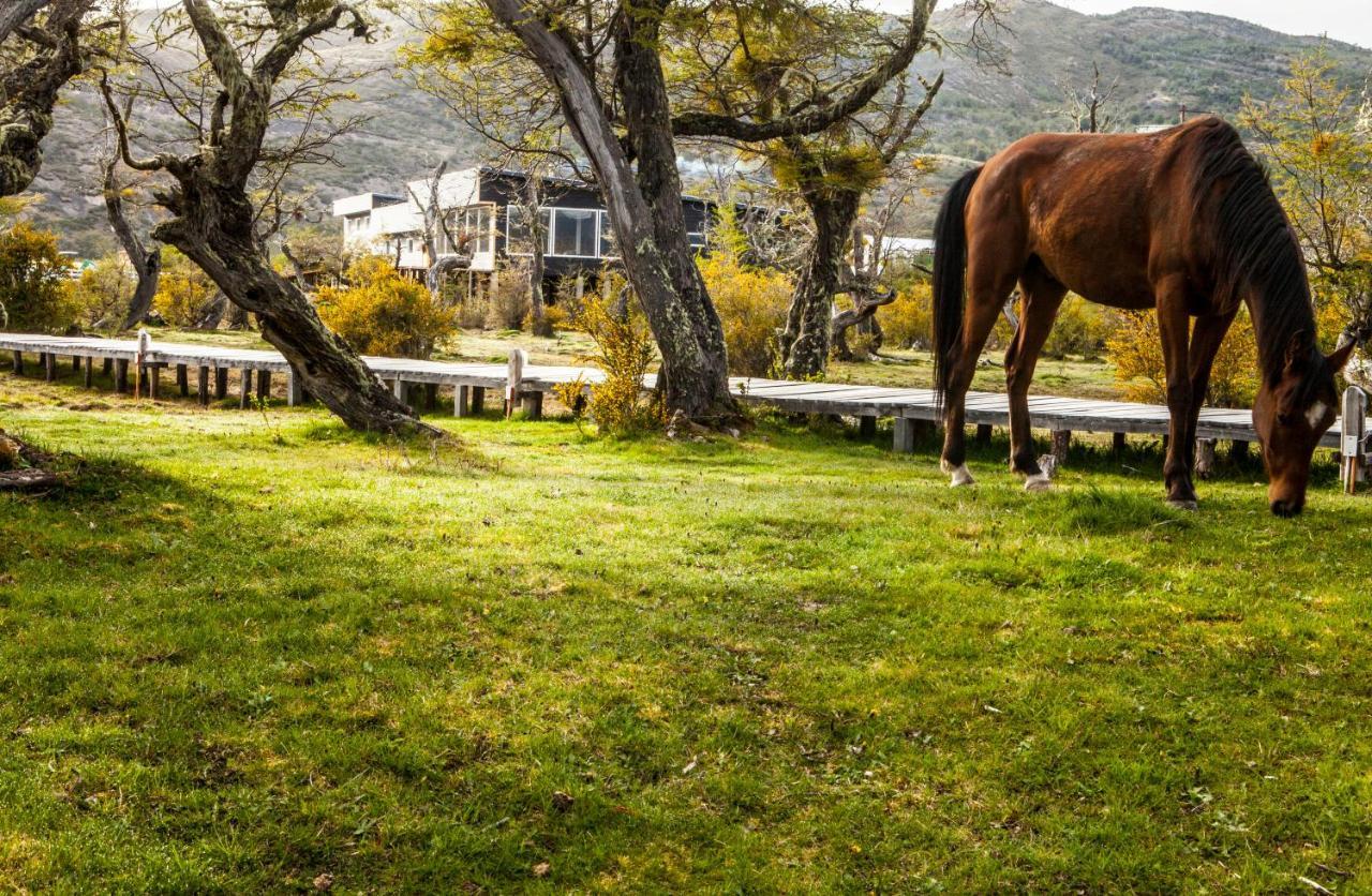 Pampa Hostel Torres del Paine National Park Dış mekan fotoğraf
